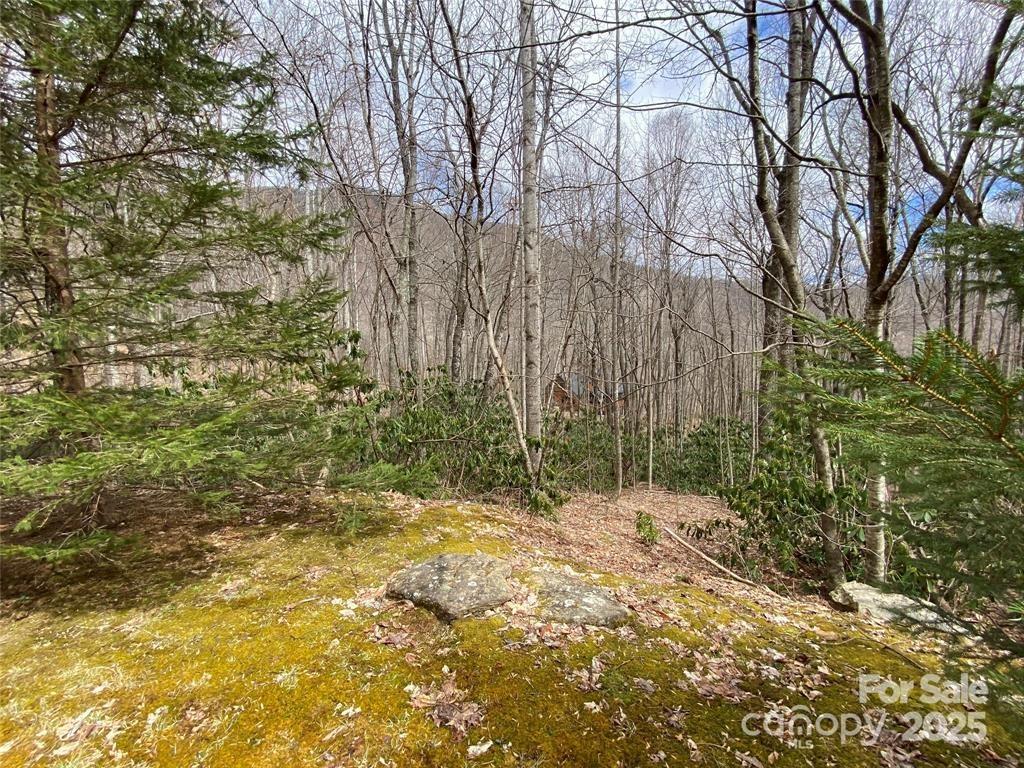 29 Wood Haven Lane 209