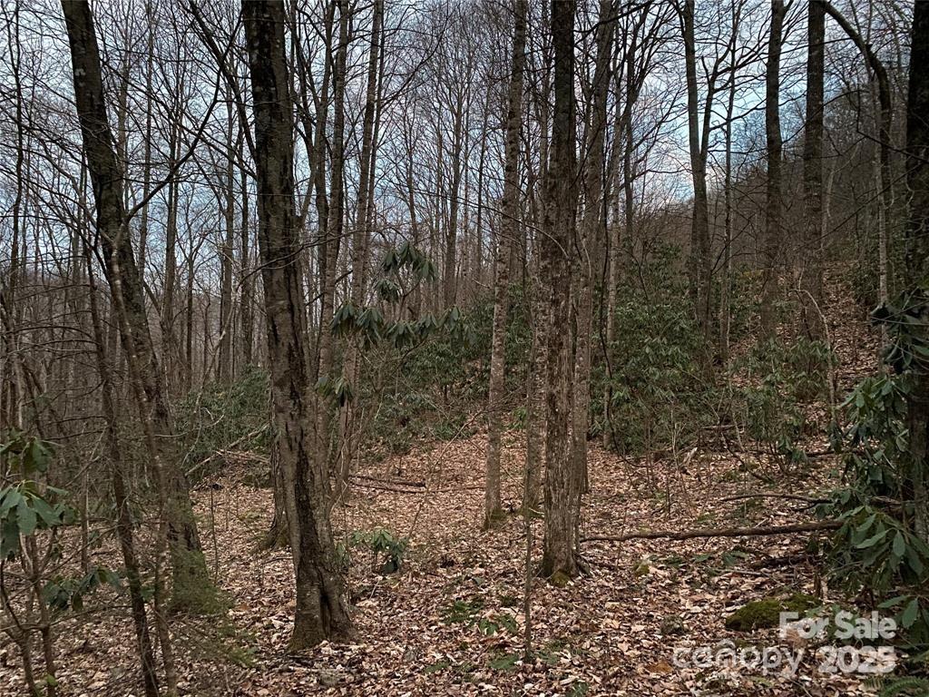 29 Wood Haven Lane 209