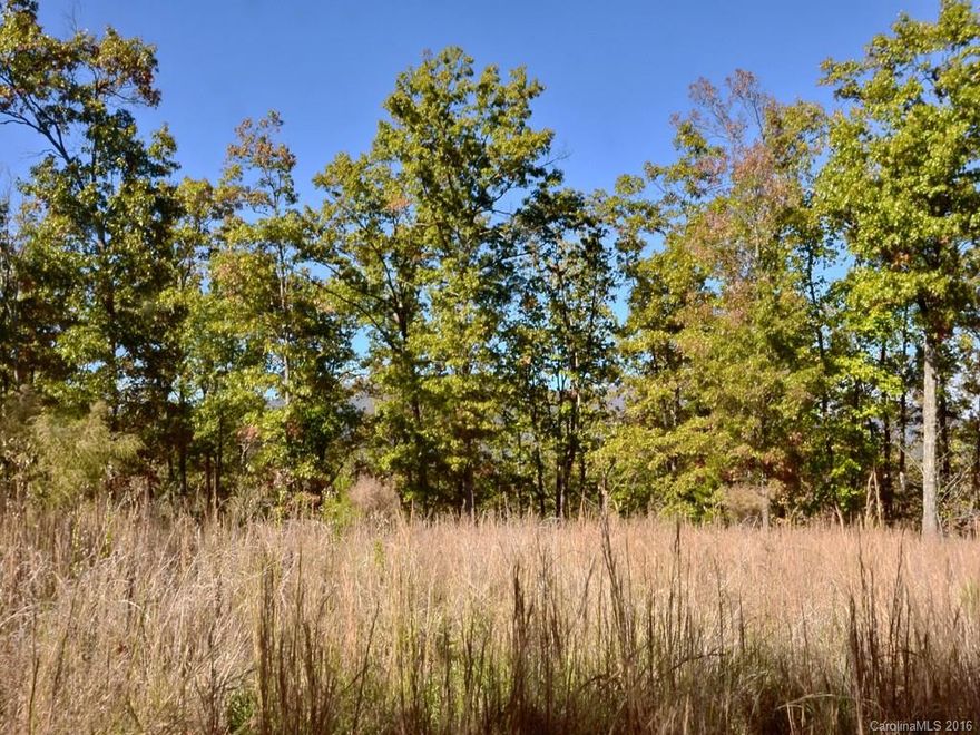 Beautiful 12.97 mol lot in Highland Farms at Lake Adger Equestrian Community.  Bring the horses and enjoy the community trail system.  Homesites sit at the top of a knoll with stunning panoramic seasonal views.  Property has already been select cleared.  Driveway, temp electric and well installed, 4 bedroom current septic permit.  Owner is licensed NC real estate broker.