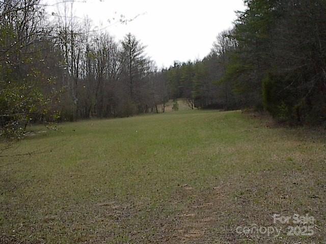 0000 Dandelion Drive