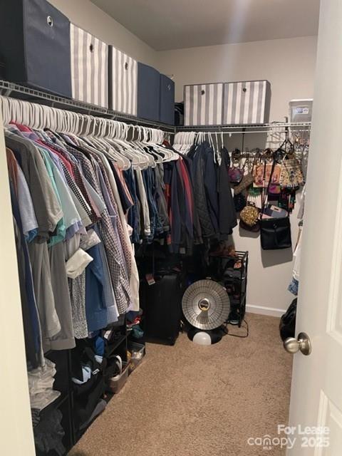 Avondale - Residential Lease