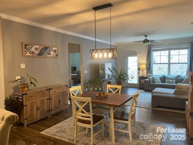 Avondale - Residential Lease