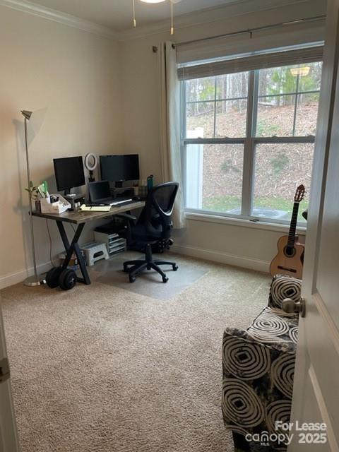 Avondale - Residential Lease