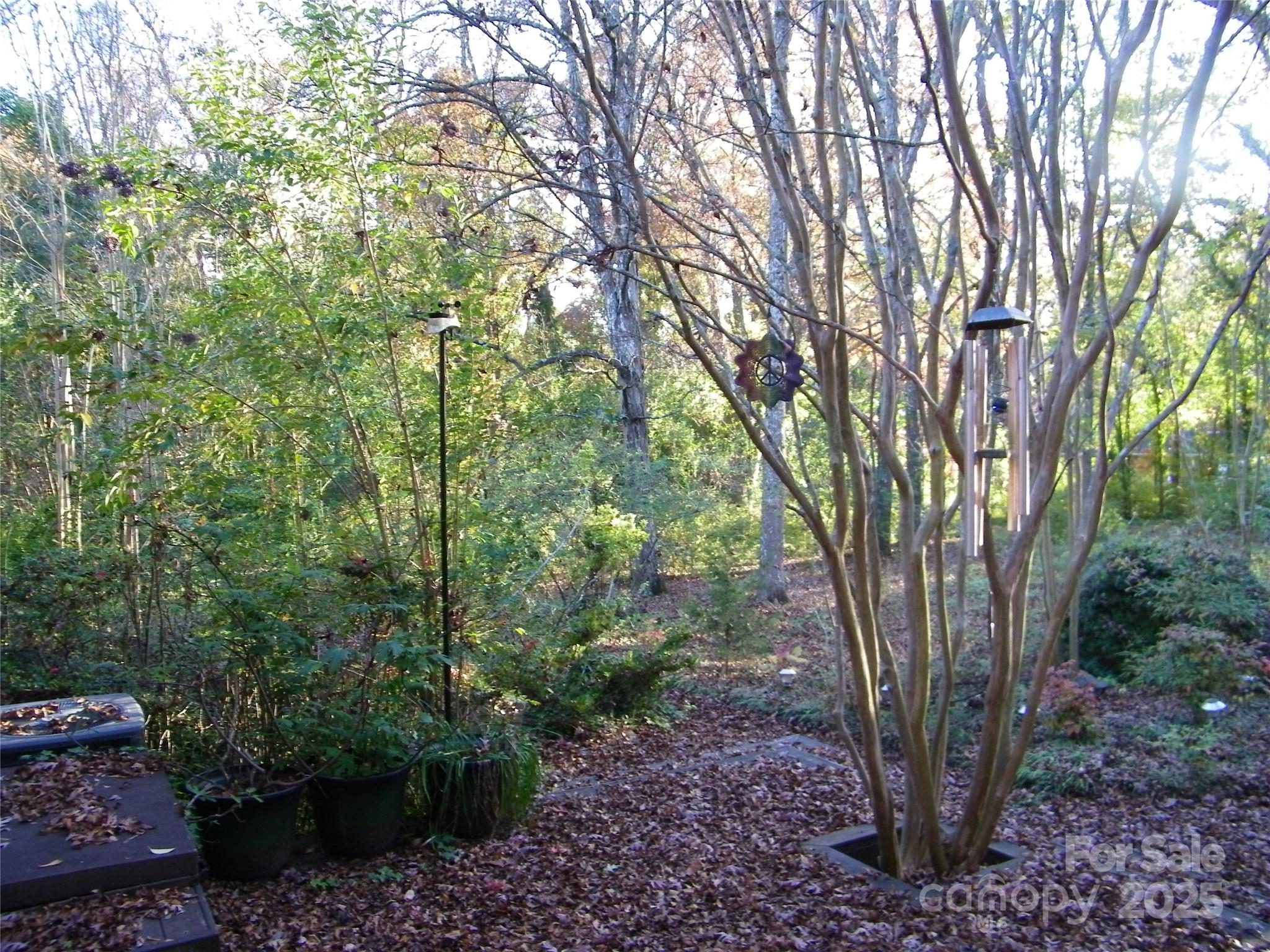 Beverly Hills - Residential