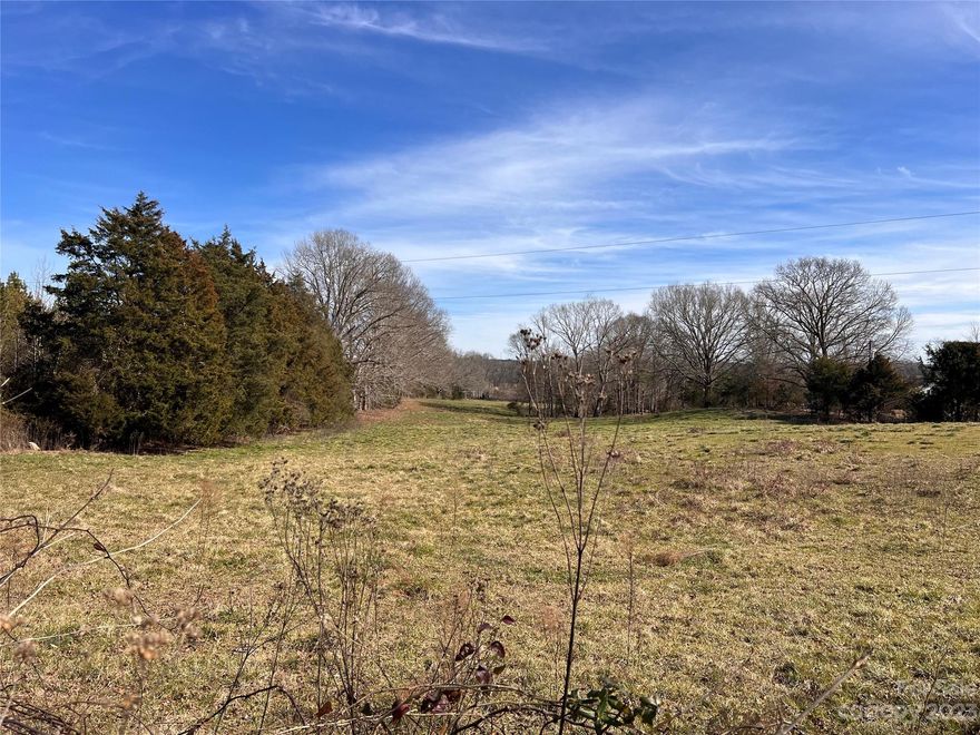 Wonderful flat lot in Lancaster County.  There is county water located up on Old Pardue Rd and an easement would be required to run a line through the neighbors property.  Lancaster county tap fee would be $2400.  No perc test has been performed so buyer would need to have this done during their due diligence period.  LDR zoned so stick built home or a modular home is allowed by the county.  No mobile homes are allowed with this zoning.