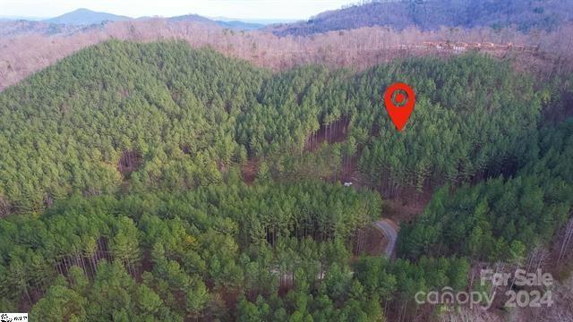 Fork Mountain - Land