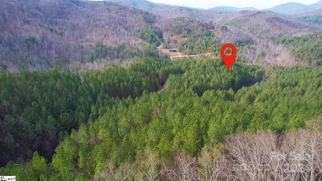 Fork Mountain - Land