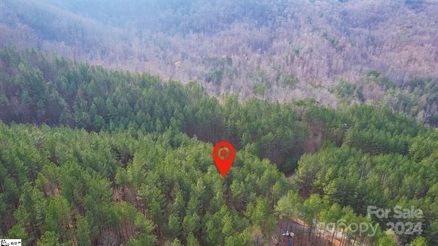 Fork Mountain - Land