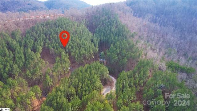 Fork Mountain - Land