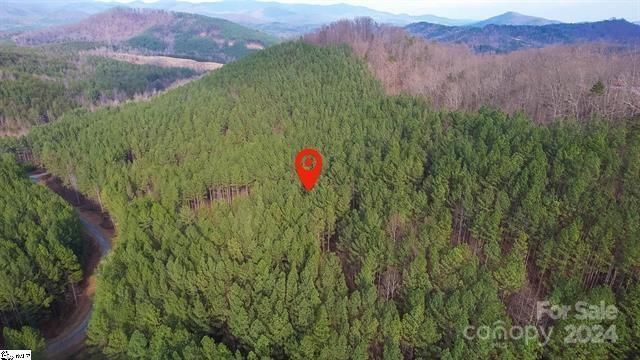 Fork Mountain - Land