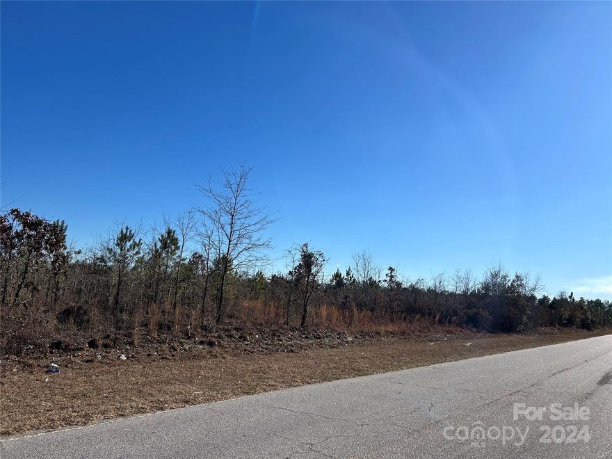 Unrestricted lot with a beautiful homesite just east of Kershaw SC about 5 minutes on Catawba Road.  Natural regrowth after clearcut logging about 9-10 years ago and rotten stumps should make clearing easy.  Sandy soils should be great for septic systems.  Nice shaped lot with good paved road frontage and level to build on. Parcel 1 on the subdivision plat shown in pictures.