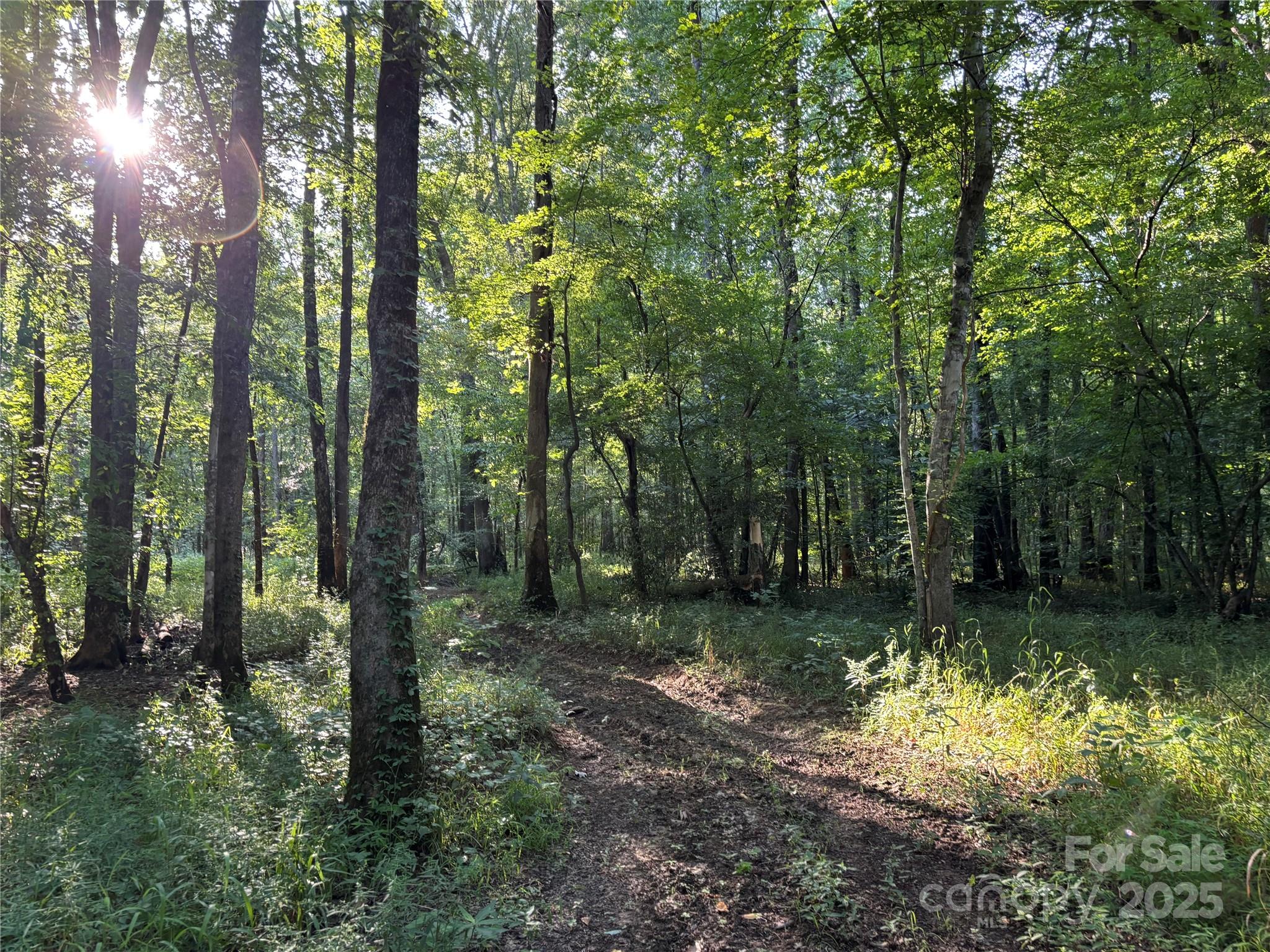 00 Maggie Robinson Road