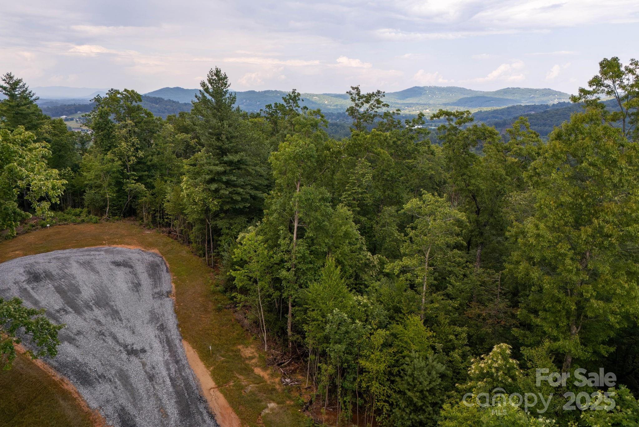 Lot # 5 Masterpiece View Drive 5