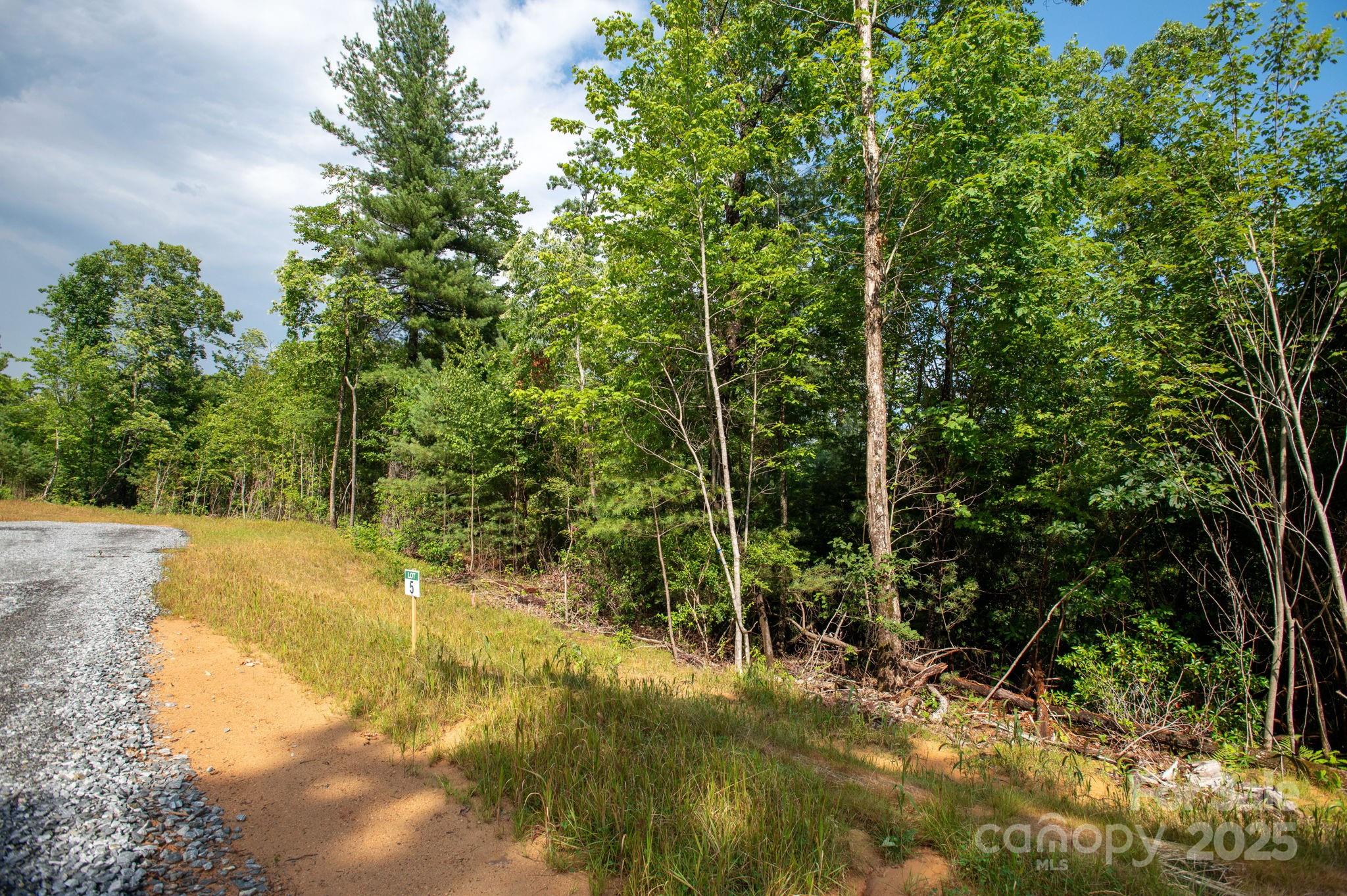 Lot # 5 Masterpiece View Drive 5