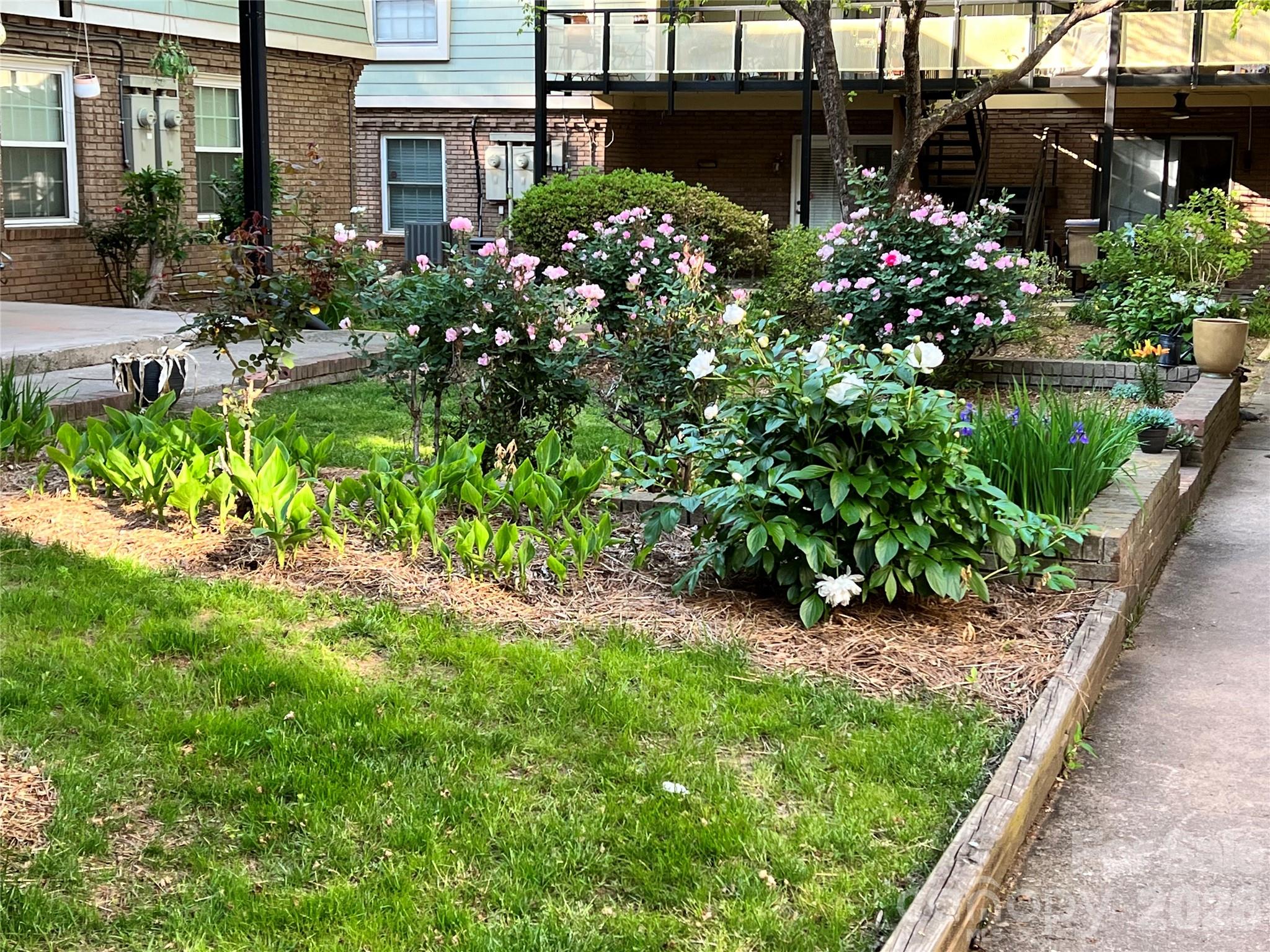 Dilworth - Residential