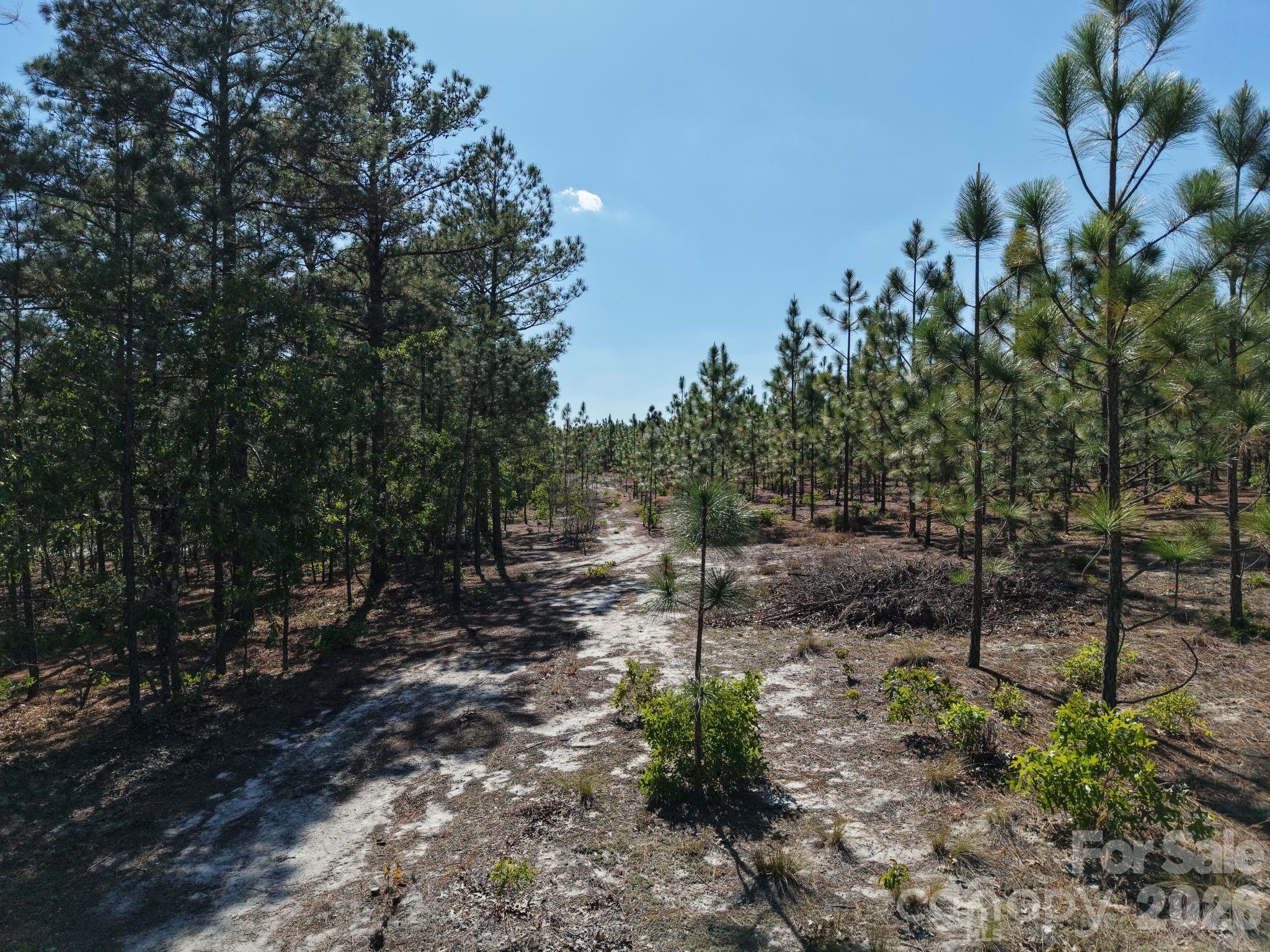 0000 Mt Olivet Church Road