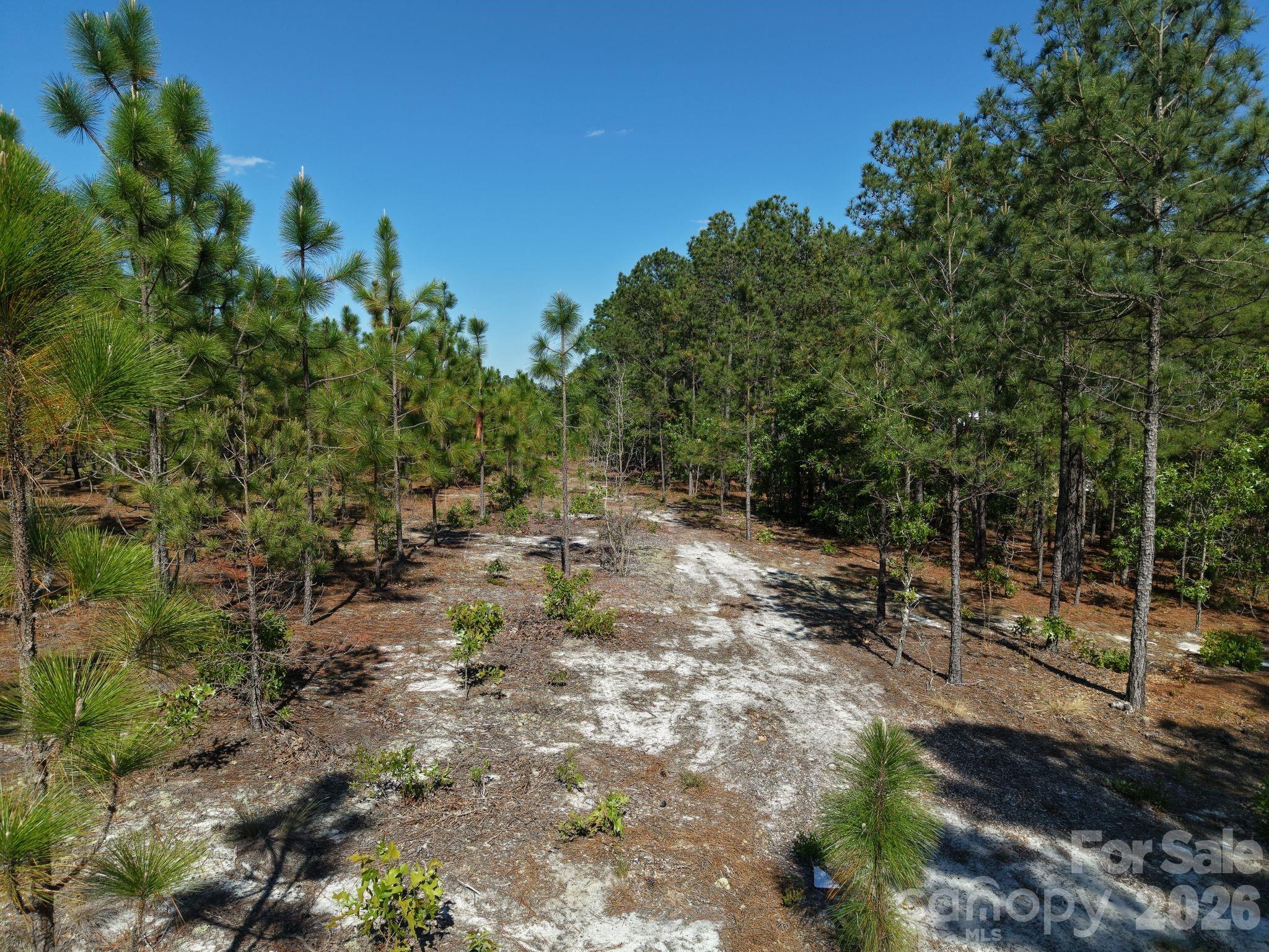 0000 Mt Olivet Church Road
