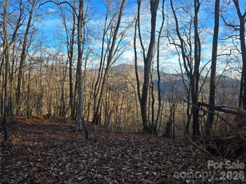 Photo of 0000 Brasstown Road, Cullowhee, NC 28723 (MLS # 4427272)