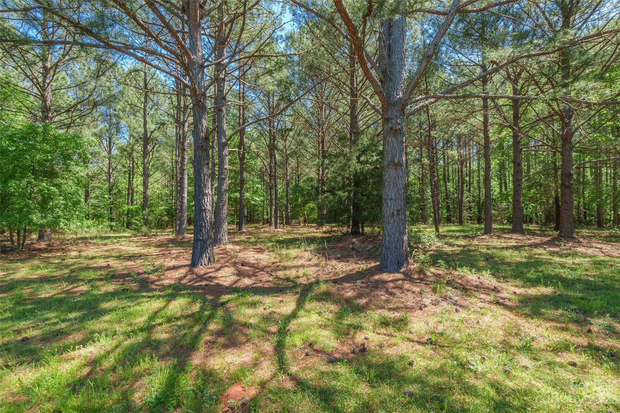 Regal Pines - Residential