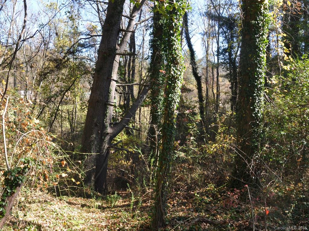 The Creek at Concord - Land