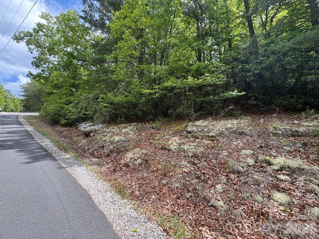 Linville Mountain Acres - Land