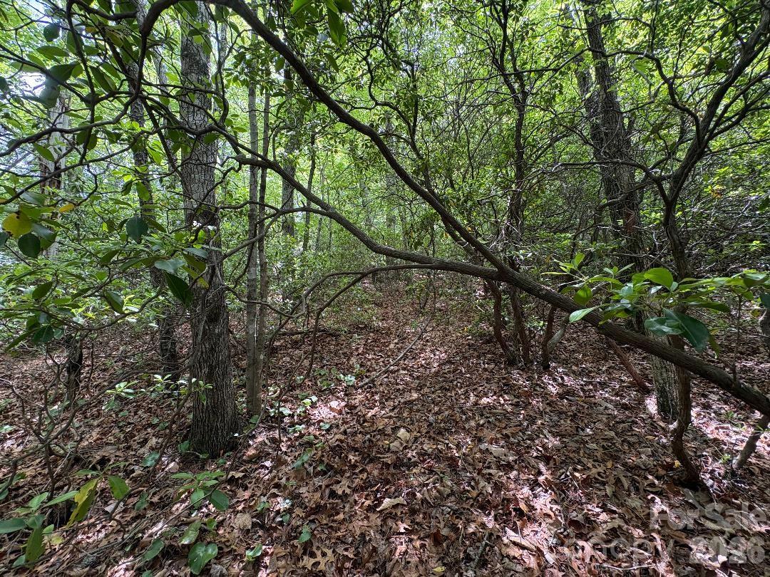 Linville Mountain Acres - Land