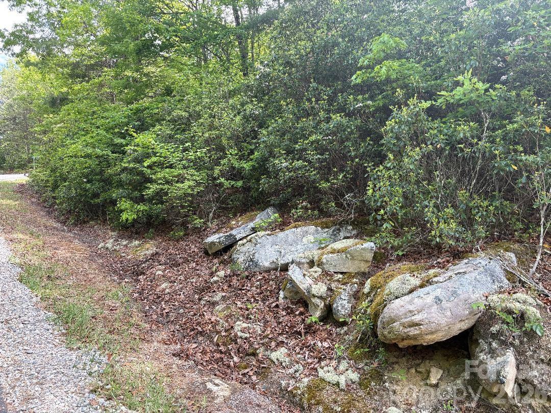 Linville Mountain Acres - Land