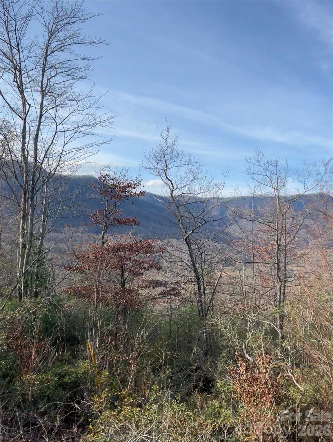 Linville Mountain Acres - Land