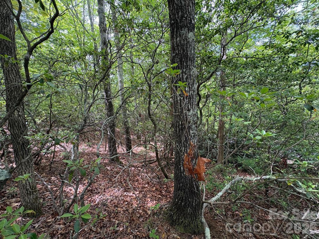 Linville Mountain Acres - Land
