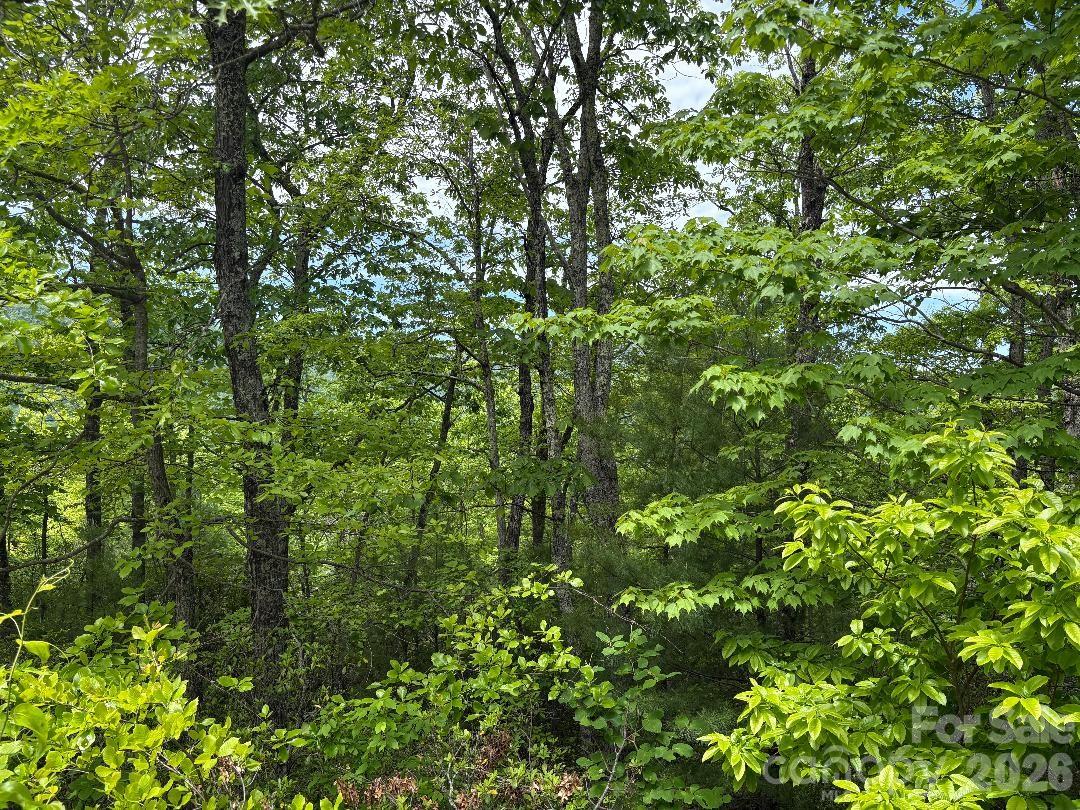 Linville Mountain Acres - Land