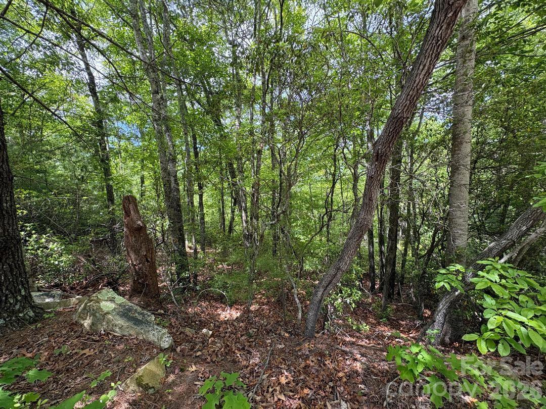 Linville Mountain Acres - Land