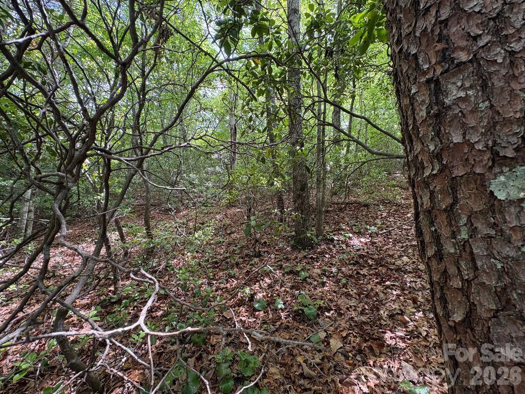 Linville Mountain Acres - Land