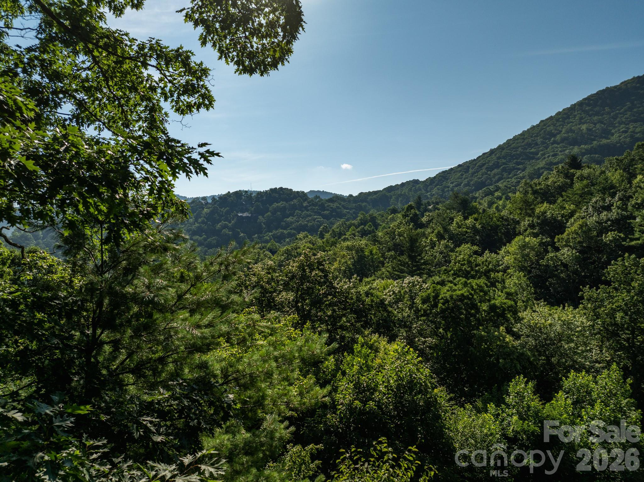59 Old Greybeard Loop
