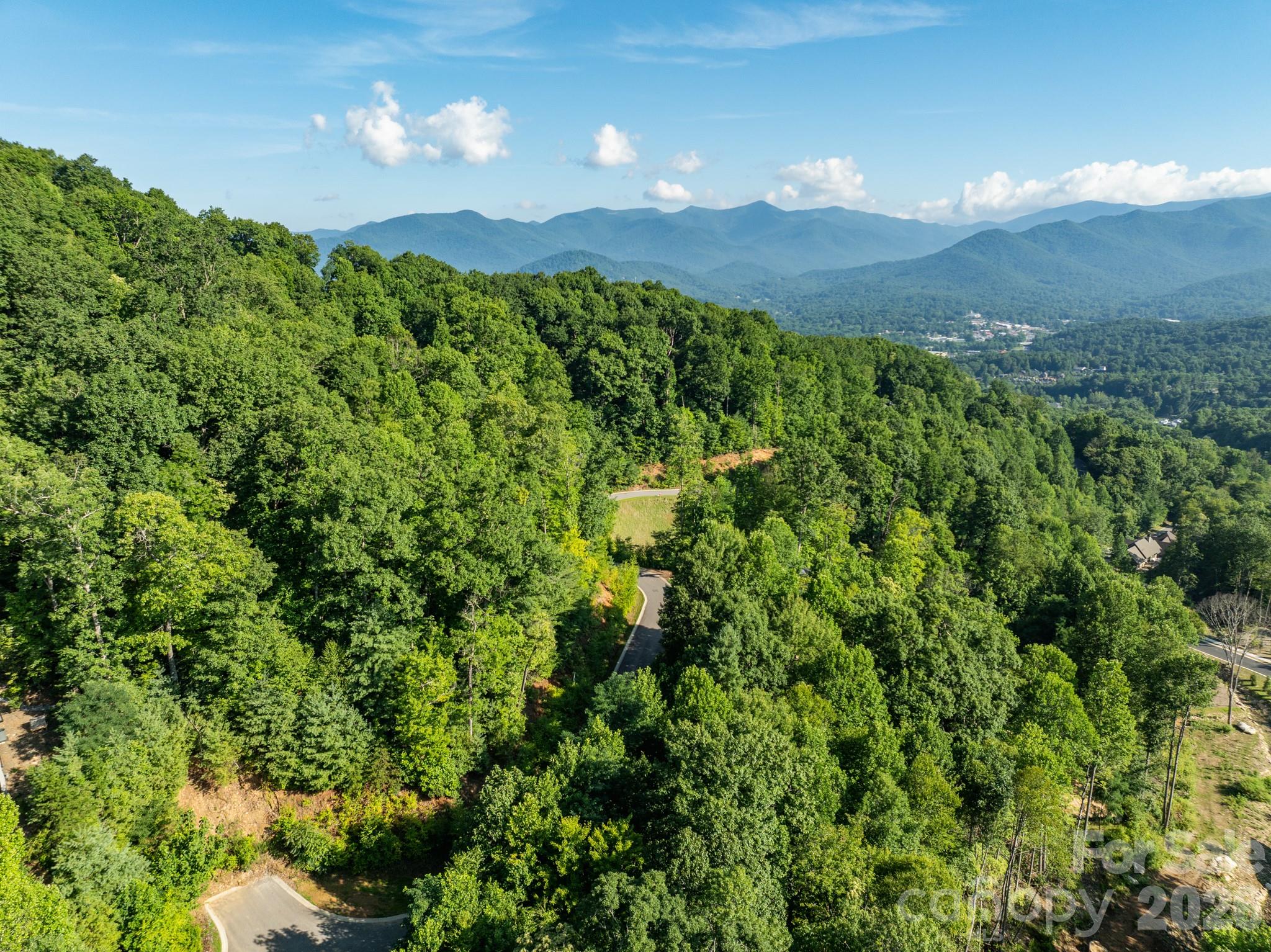 59 Old Greybeard Loop