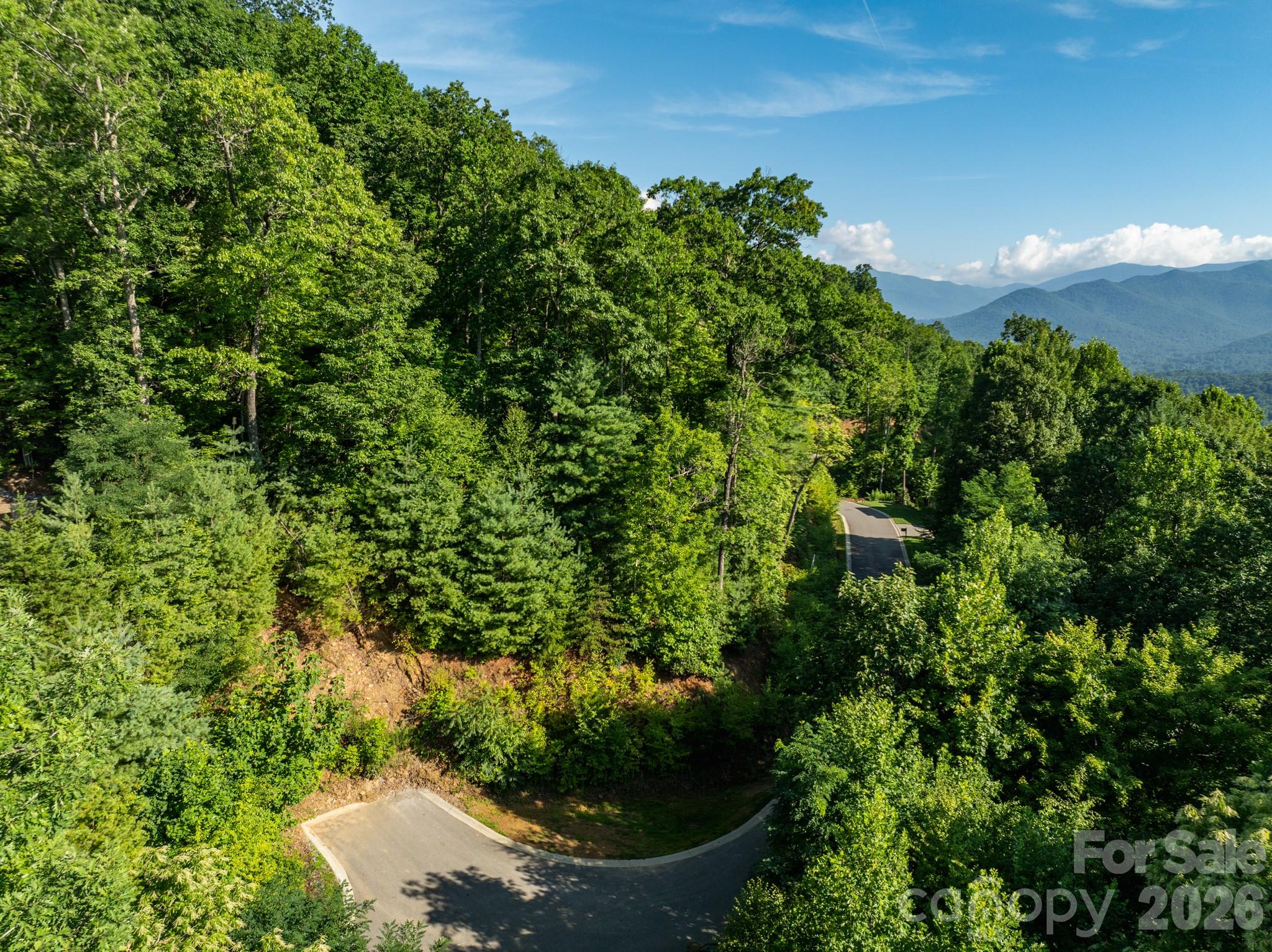 59 Old Greybeard Loop