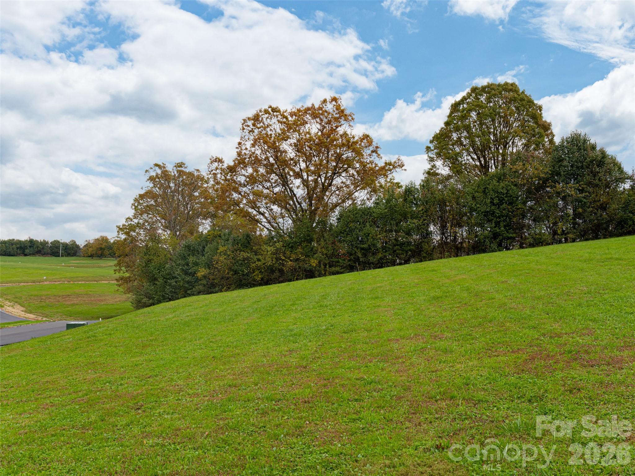 207 Soapstone Trail 70