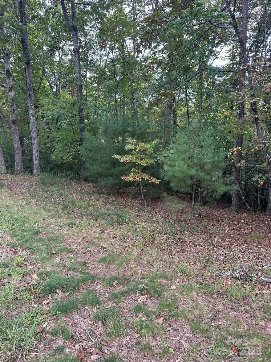 Look no further!  Looking for land to build your dream home with easy accessibility? Here it is! This beautiful 1.5 acre lot offers easy accessibility with state maintained road. Just a short drive to shopping and local eateries. Come see what this lot offers in the beautiful mountains of North Carolina!