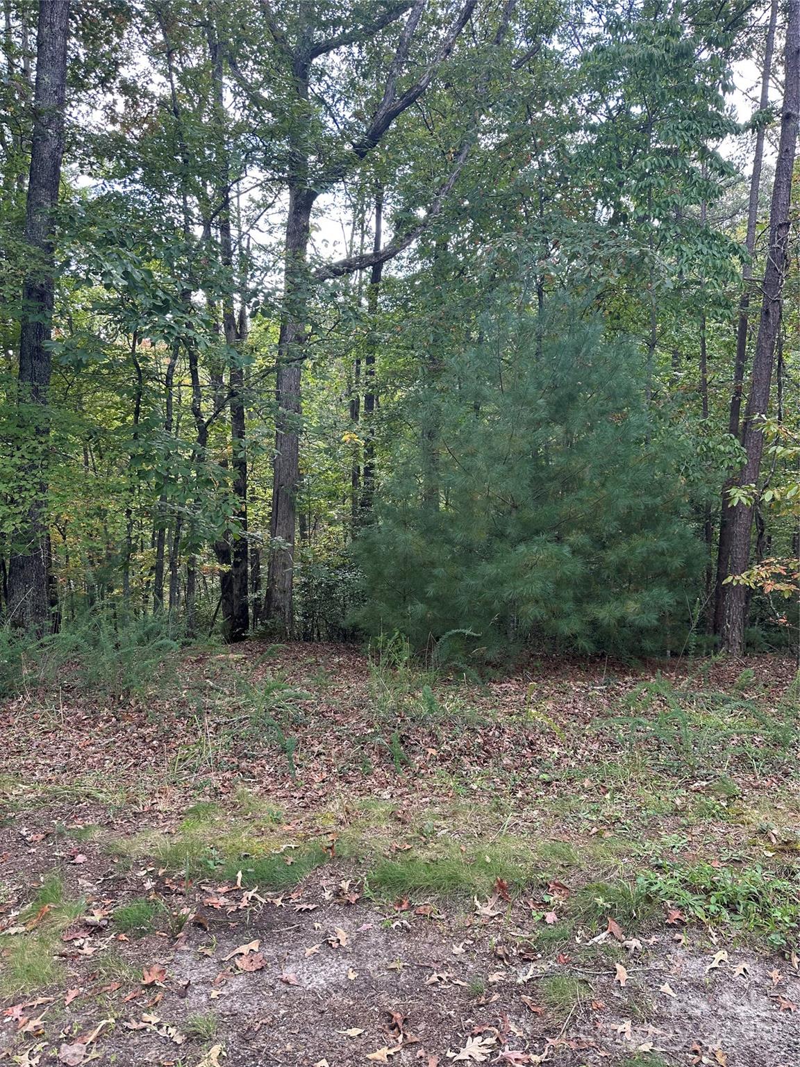 00 Pleasant Hill Road