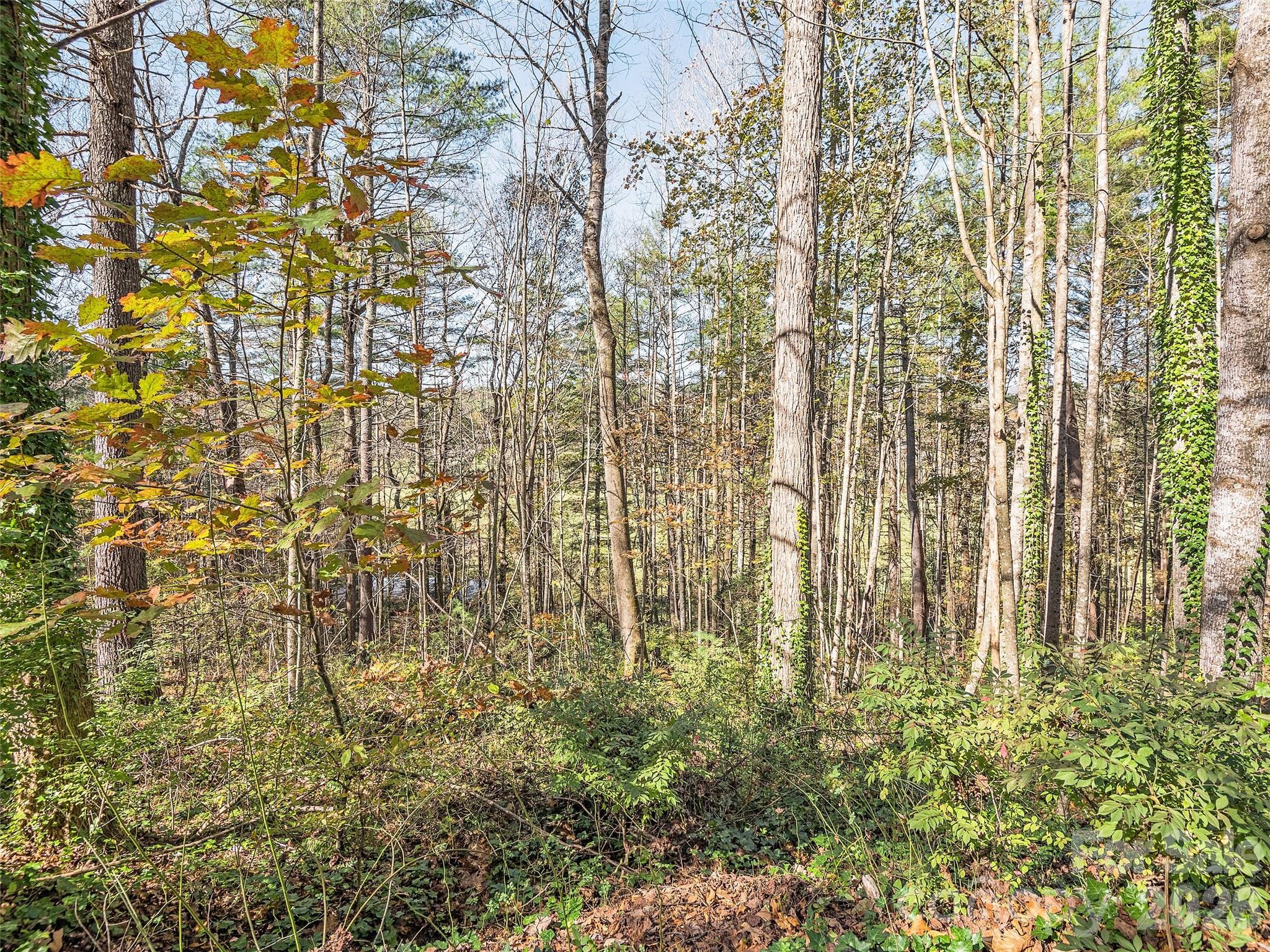 Flat Rock Lakes - Land