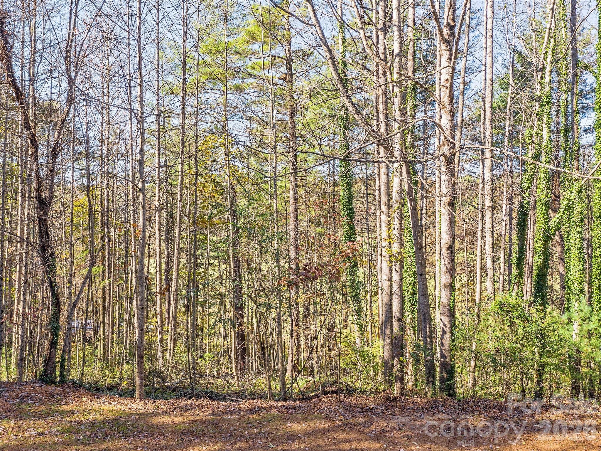 LOTS 14 & 15 Mountain Lake Drive