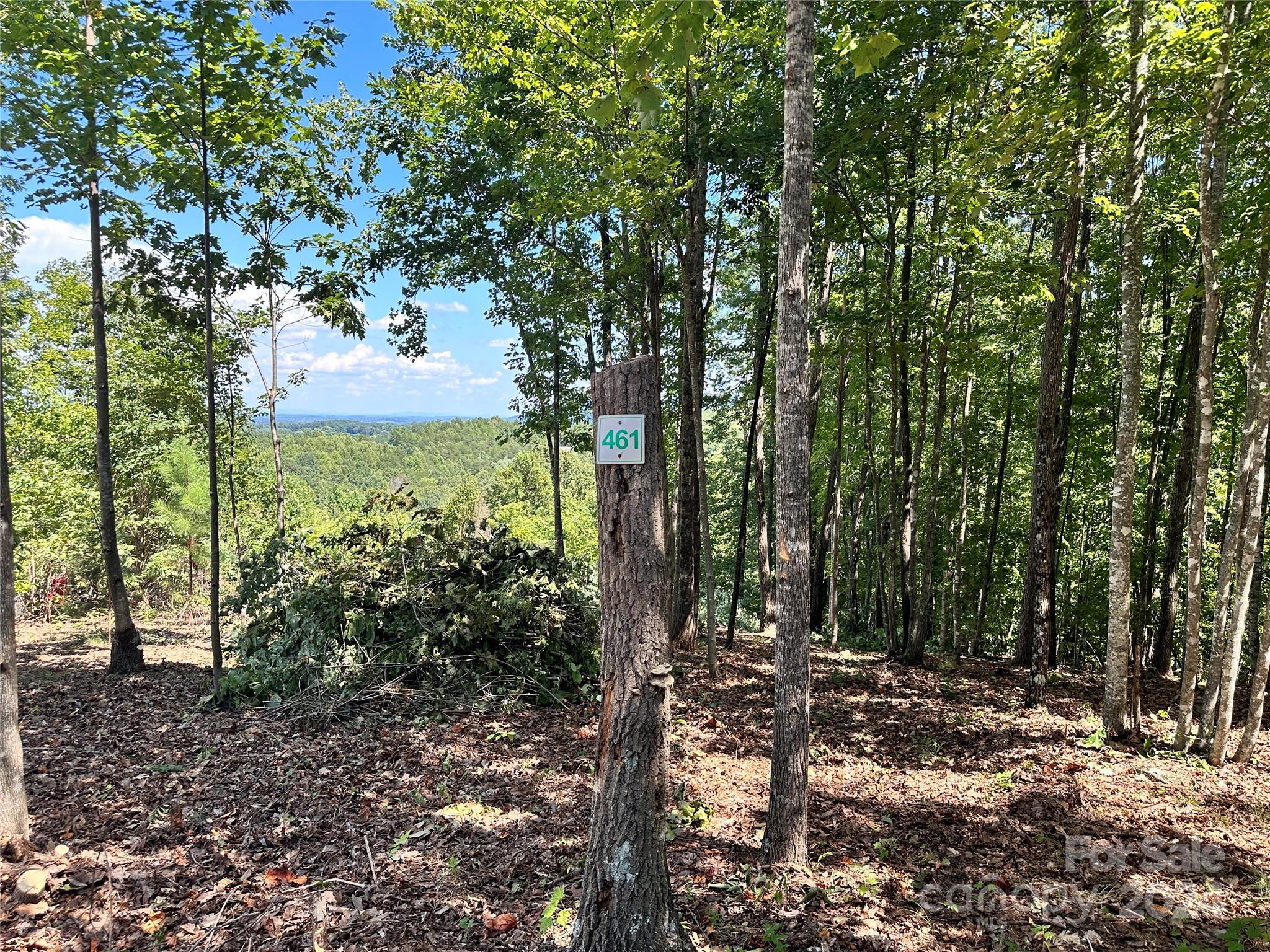 65 Serene Trail 461