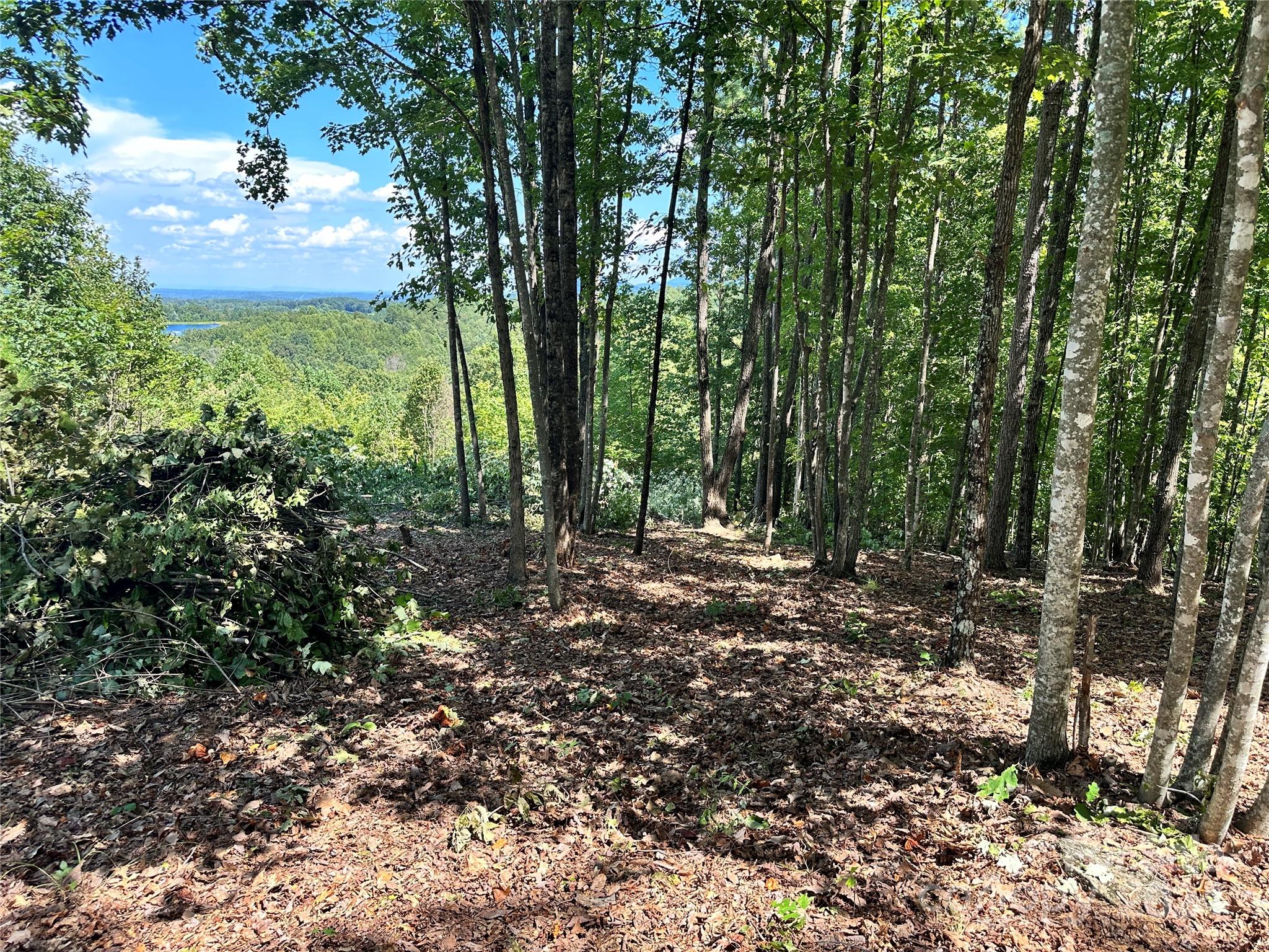 65 Serene Trail 461