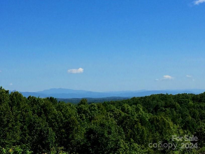 65 Serene Trail 461