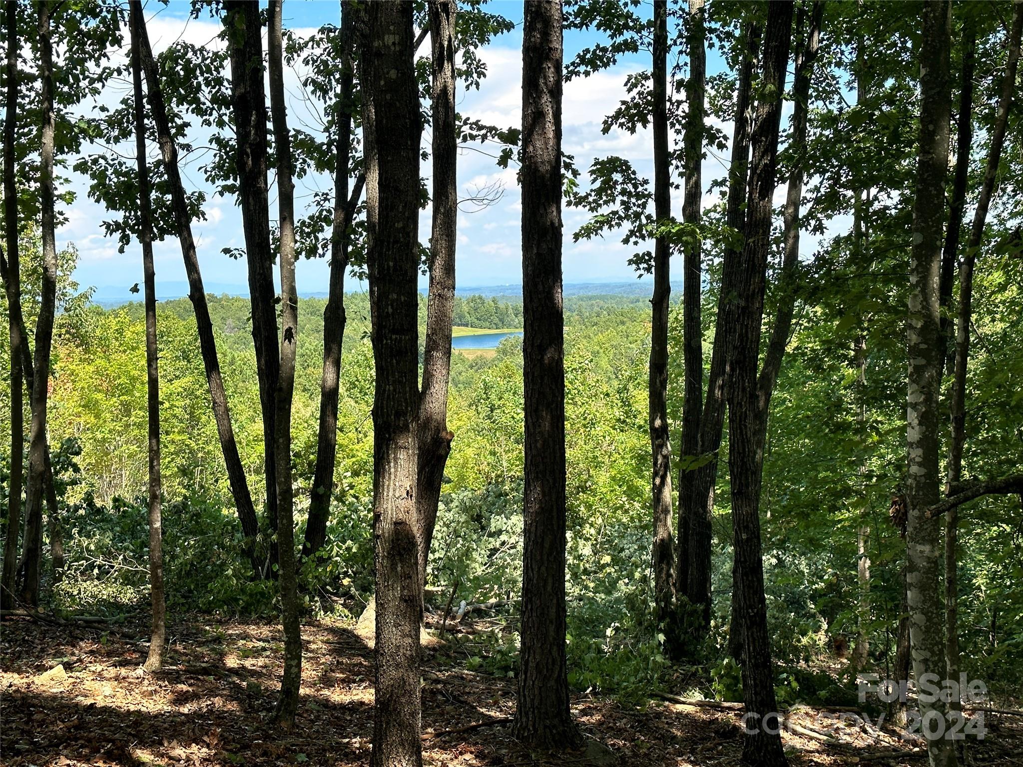 Grandview Peaks - Land