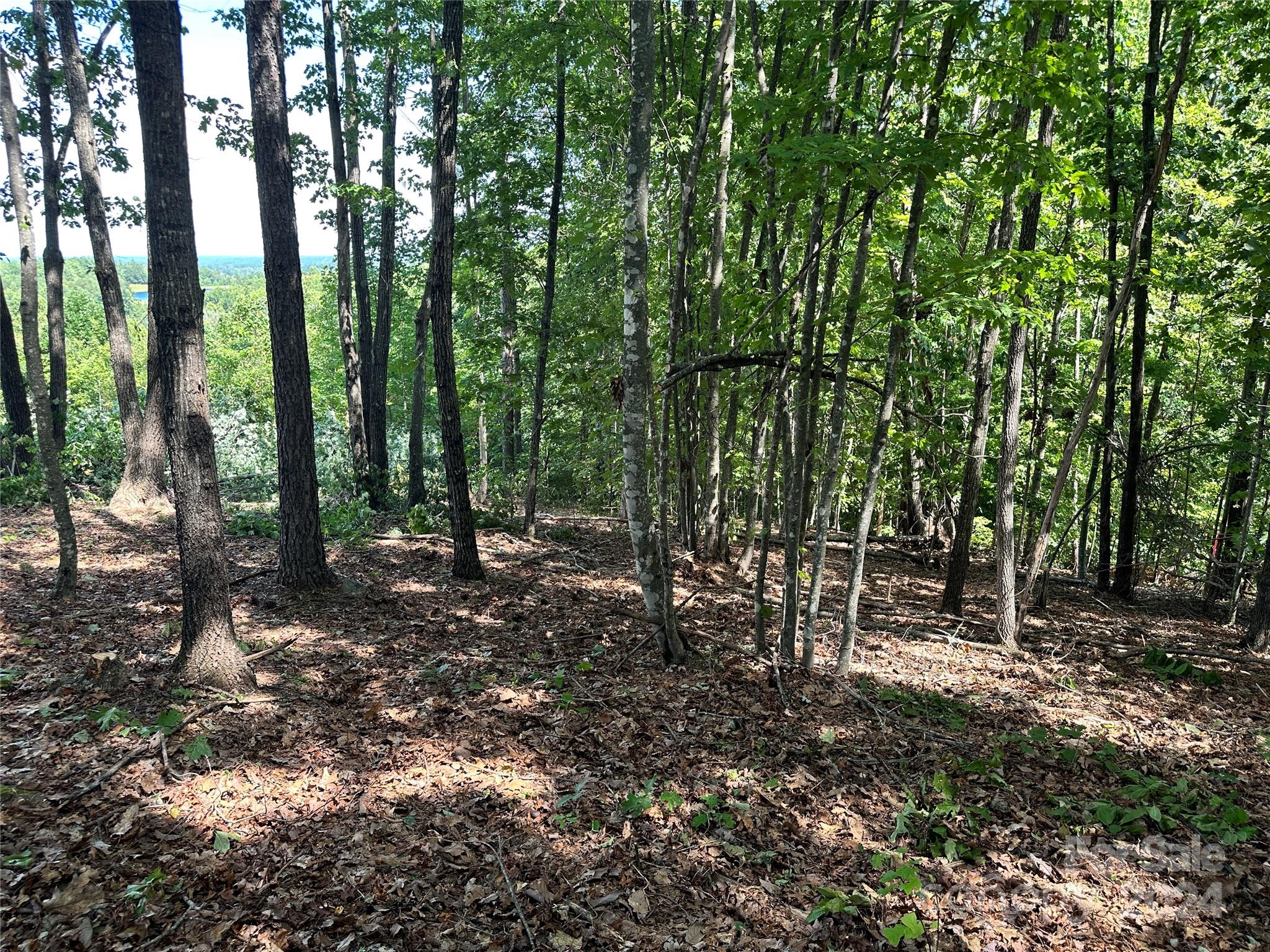 Grandview Peaks - Land