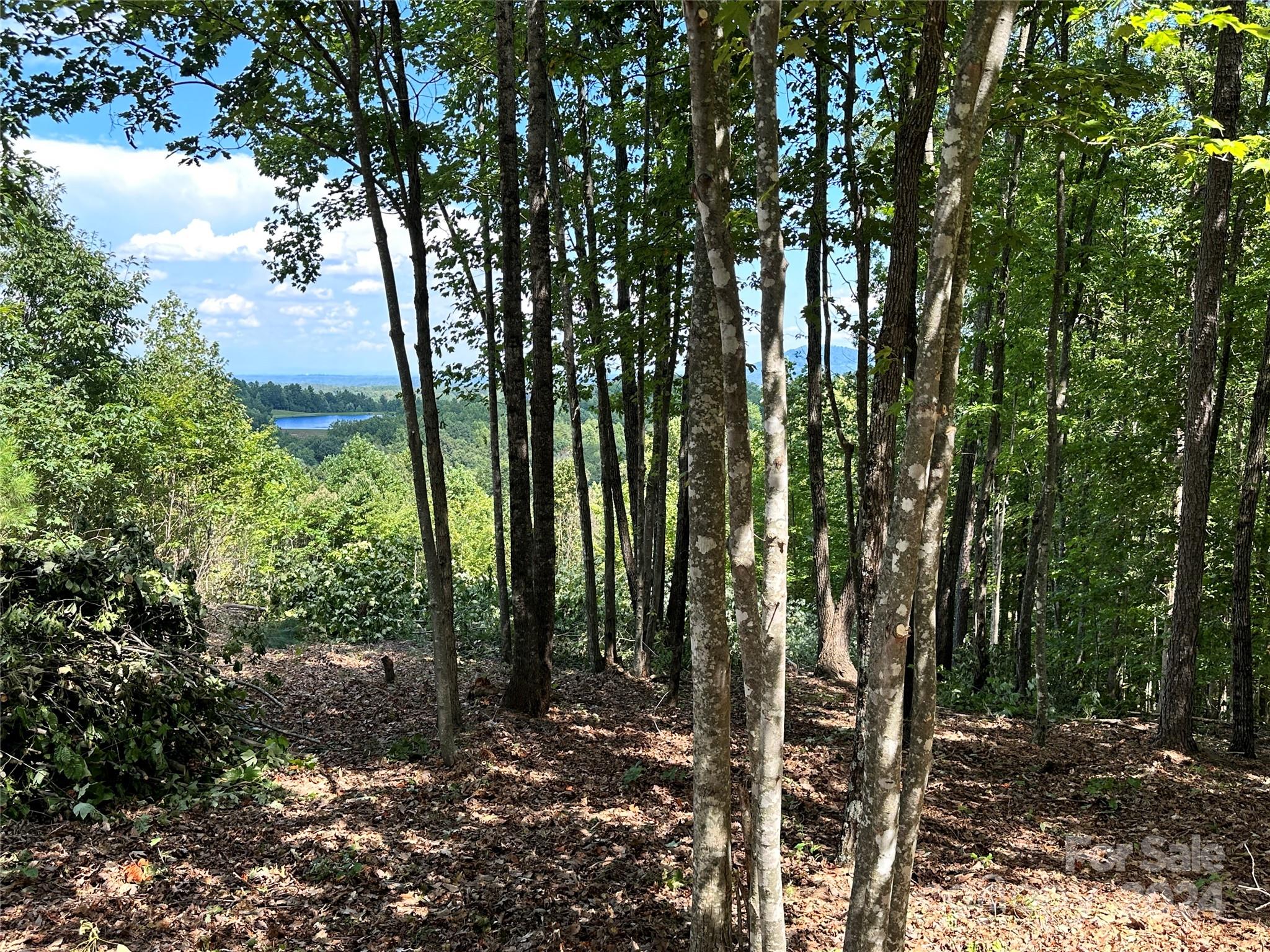 Grandview Peaks - Land