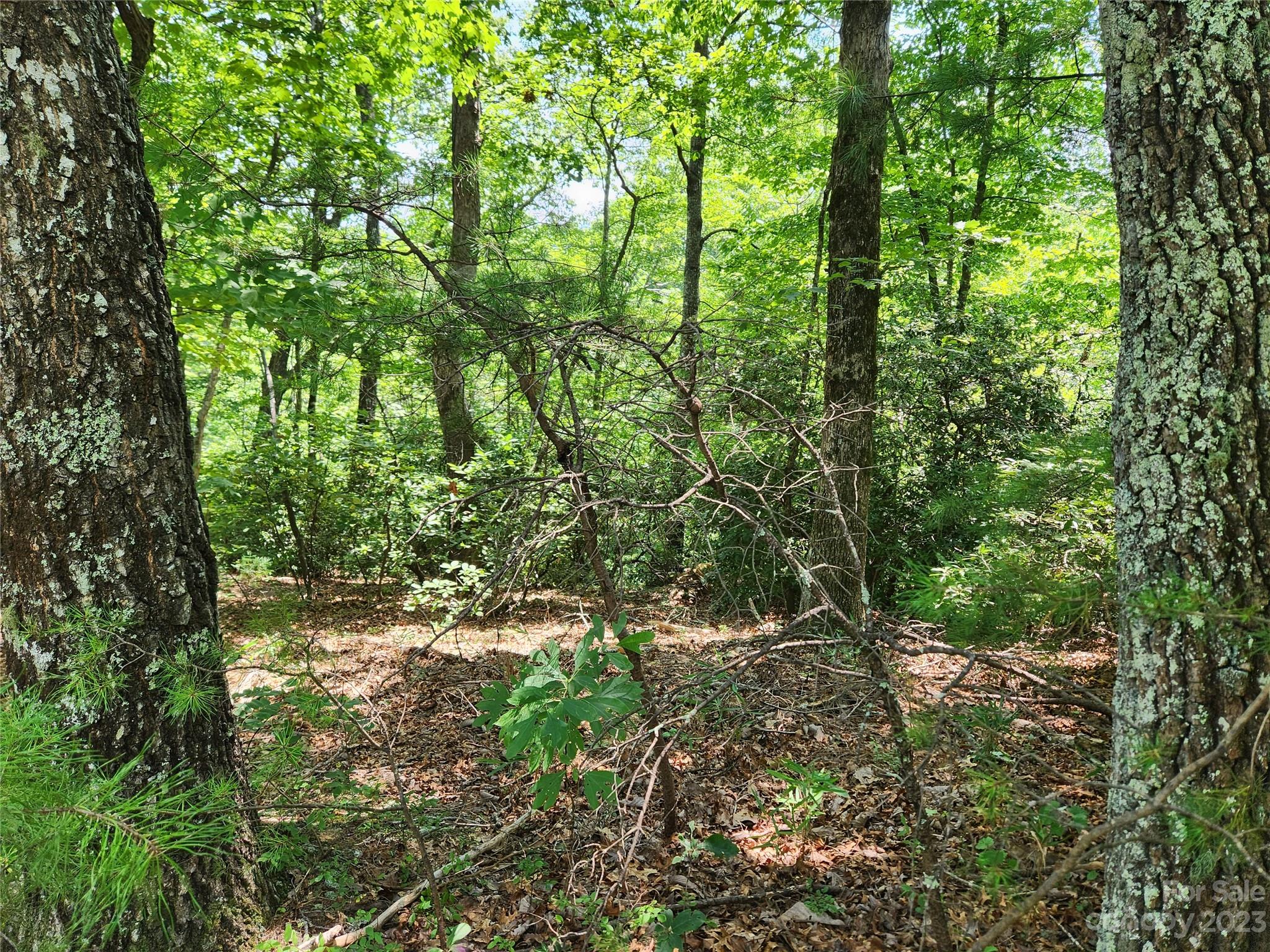 Rumbling Bald on Lake Lure - Land