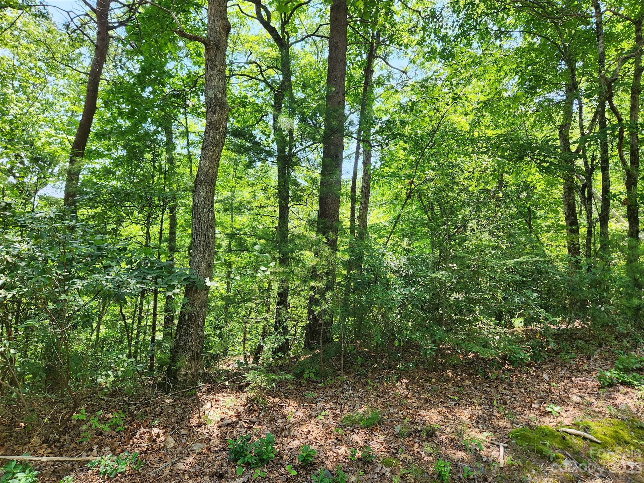 Rumbling Bald on Lake Lure - Land
