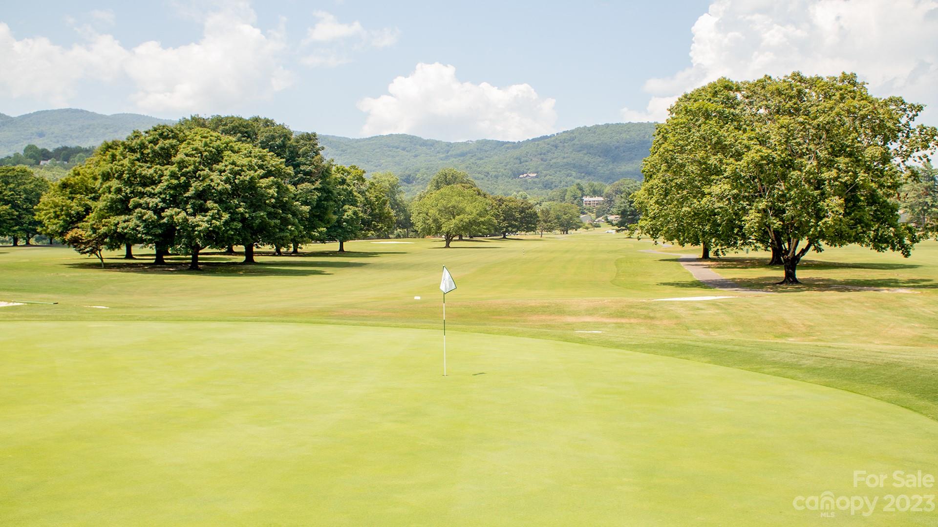 Rumbling Bald on Lake Lure - Land