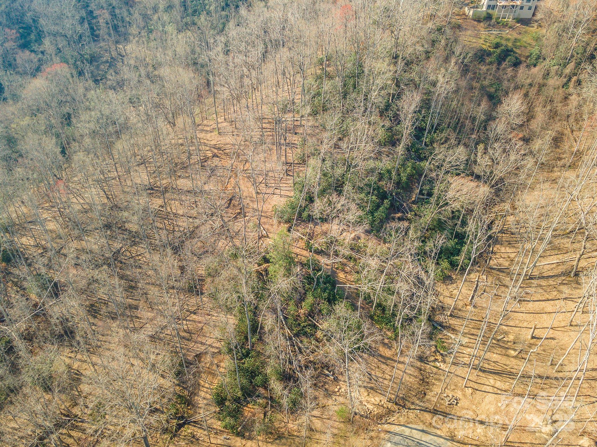 Carriage Park - Land